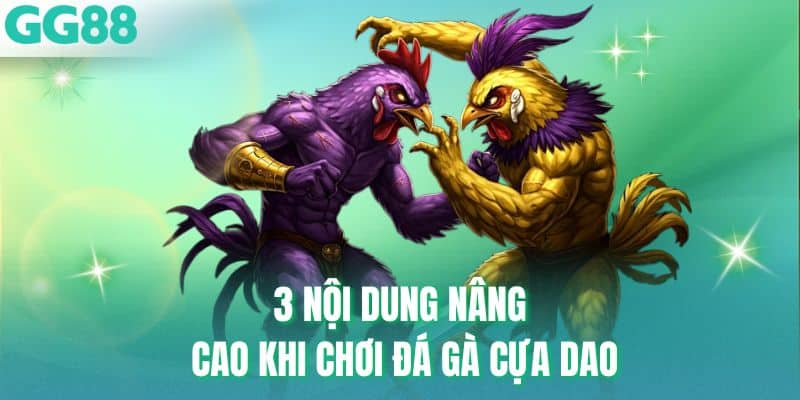 3 nội dung nâng cao khi chơi đá gà cựa dao