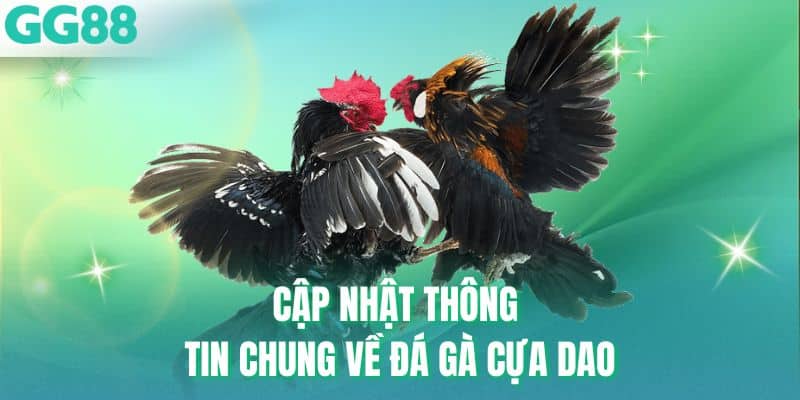 Cập nhật thông tin chung về đá gà cựa dao
