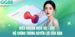 Điều Khoản Dịch Vụ - Chế Độ Chính Trong Quyền Lợi Của Bạn
