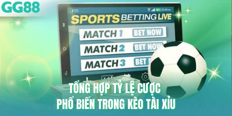 Tổng hợp tỷ lệ cược phổ biến trong kèo tài xỉu
