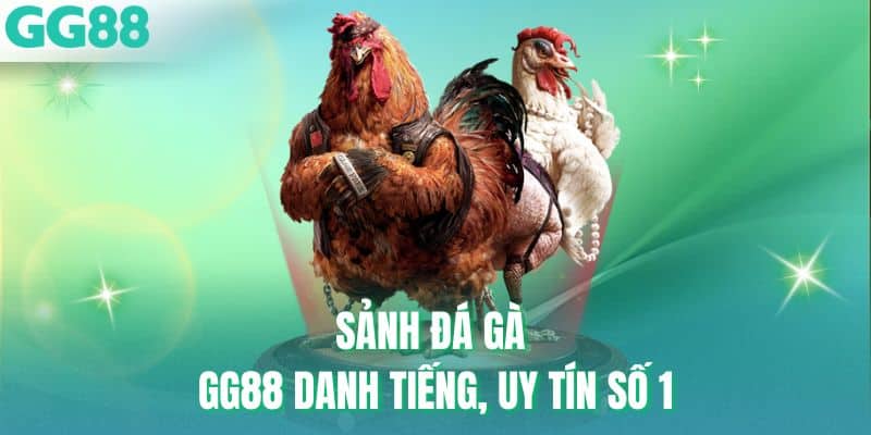 Sảnh đá gà GG88 danh tiếng, uy tín số 1