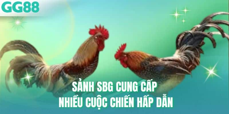 Sảnh SBG cung cấp nhiều cuộc chiến hấp dẫn